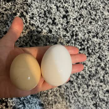 Yanıltıcı Gramaj Etiketi Nedeniyle Denetim Ve Düzeltme Talebi