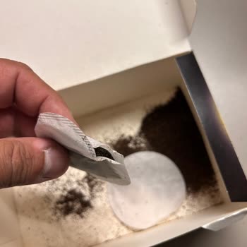 Patlak Ve Yırtık Poşetli Lipton Earl Grey Çayda Hijyen Sorunu