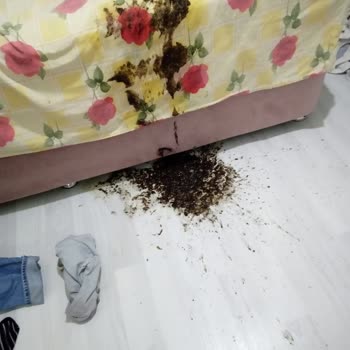 Öncü Döner Şubesinde Şiddetli Gıda Zehirlenmesi Ve Hastane Yatışı