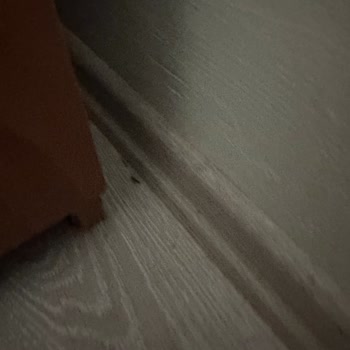 Kirli Otelde Konaklamaya Zorlanma Ve İade Talebi