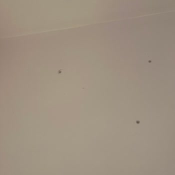 Arçelik Yanlış Klima Montajı ve Duvar Hasarı İçin Ücretsiz Düzeltme Talebi