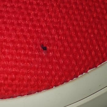 Açılışta Lekeli Camper Ayakkabı İçin Uzun Teknik İnceleme Süreci Ve Hızlı Değişim Talebi