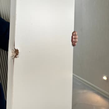 Hasarlı Gardırop Ve Asansör Zararının İadesi Ve Tazminatı İçin Acil Çözüm Talebi