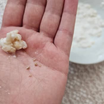 Reis Bulgurunda Beyaz Taş Parçaları Çocuk Sağlığını Tehlikeye Atıyor