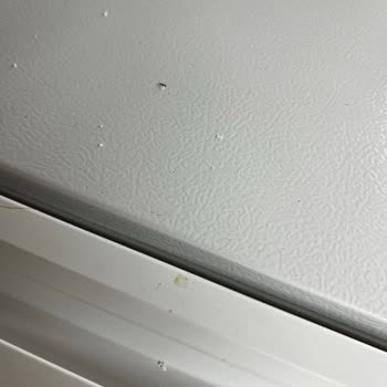 Teslim Edilen Derin Dondurucu Teşhir Ürün Olduğu İçin Değişim Talebi
