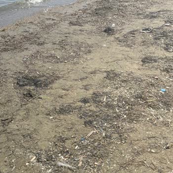 Kirli Kum Denizi Plajı'na Ödenen 3.600 TL Ücretinin İadesi Talebi