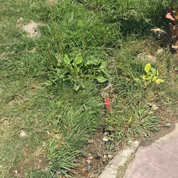 Kirli Kum Denizi Plajı'na Ödenen 3.600 TL Ücretinin İadesi Talebi
