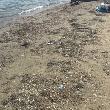 Kirli Kum Denizi Plajı'na Ödenen 3.600 TL Ücretinin İadesi Talebi