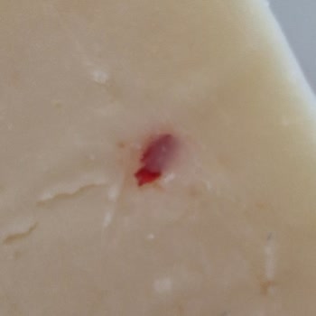 Altınkılıç Peynirinde Plastik Parça Bulunması Sağlık Riski