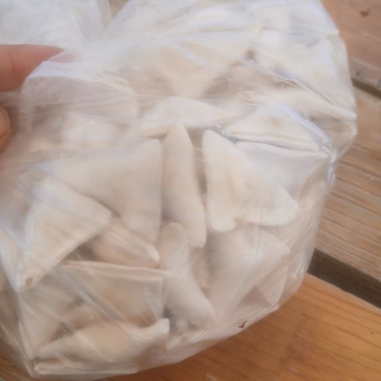 Dalaman Carrefour’da Açık Mantı Sert Hamur Ve Kötü Tat