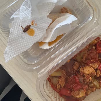 Migros Marketinde Tavuk Menüsü İçinde Hamam Böceği: Hijyen İhlali Ve Sağlık Riski