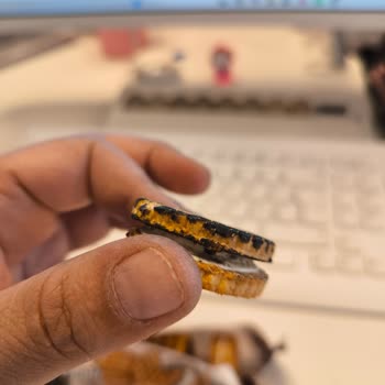 Eti Gıda Bisküvilerin Üzerinde Siyah Yağ Benzeri Bir Görüntüyle Karşılaştım