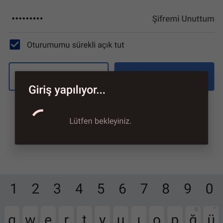 Mynet Mail Hesabına Giriş Yapılamıyor
