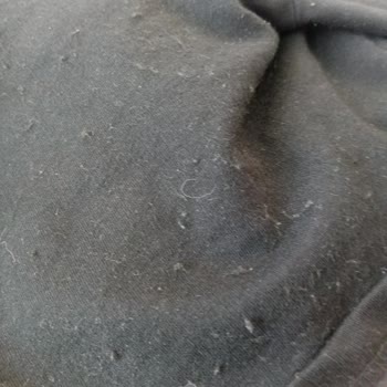 DeFacto Erkek Şortunda Kısa Sürede Aşırı Tüylenme Ve Renk Solması