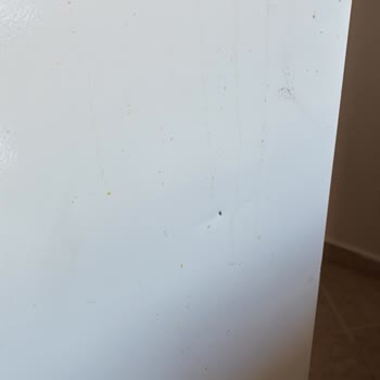 Ev taşıma hizmetinde yaşanan hasar ve şikayet