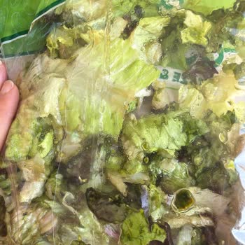 Şeffaf Poşette Çürük Salata: Kalitesiz Ürün, Yetersiz Destek Ve İade Talebi