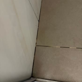 Phoenix Sun Hotel'da Kırık Mobilyalar, Kirli Odalar Ve Jolly'nin Yetersiz Desteği