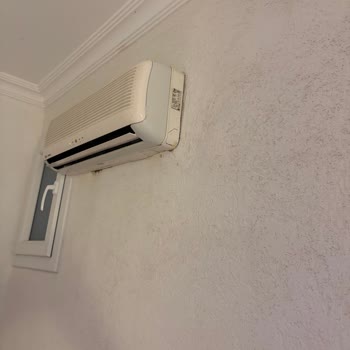 Phoenix Sun Hotel'da Kırık Mobilyalar, Kirli Odalar Ve Jolly'nin Yetersiz Desteği