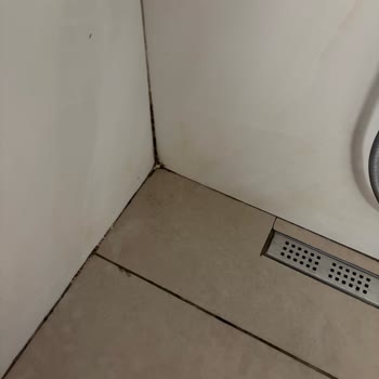 Phoenix Sun Hotel'da Kırık Mobilyalar, Kirli Odalar Ve Jolly'nin Yetersiz Desteği