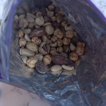 Son Kullanma Tarihi Yanıltıcı Bayat Amigo Çerez