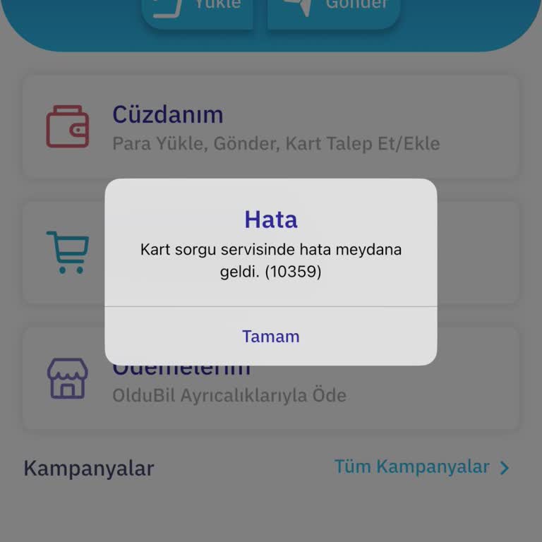 Kart Sorgulama Servisinde Hata (10359) Nedeniyle Erişilemezlik