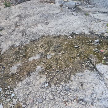 Hatay Yayladağında Kırık Kanalizasyon Borusu Çocukları Ve Mahalleyi Tehdit Ediyor