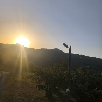 Alaplı’da Sokak Aydınlatması Yokluğu Ve Güvenlik Endişesi