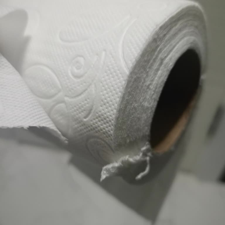 Solo Tuvalet Kağıdında Kalite Sorunu Ve Parçalanma Şikayeti