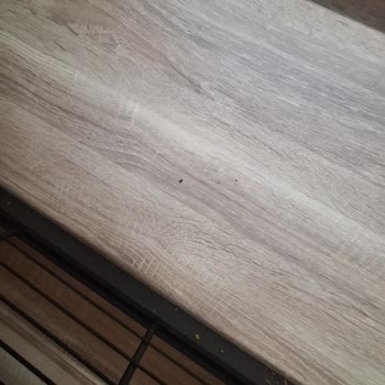 Ekmek Dolabındaki Sinek Sorunu Ve Yöneticinin Umursamaz Tutumu