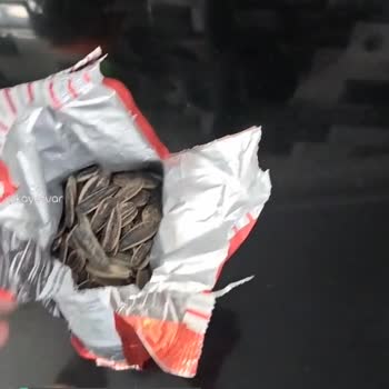 Tadım Gıda Tuzlu Mu Tuzsuz Mu?