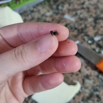 Migros Kaşar Peynirinde Siyah Yabancı Madde Gıda Güvenliği Şikayeti