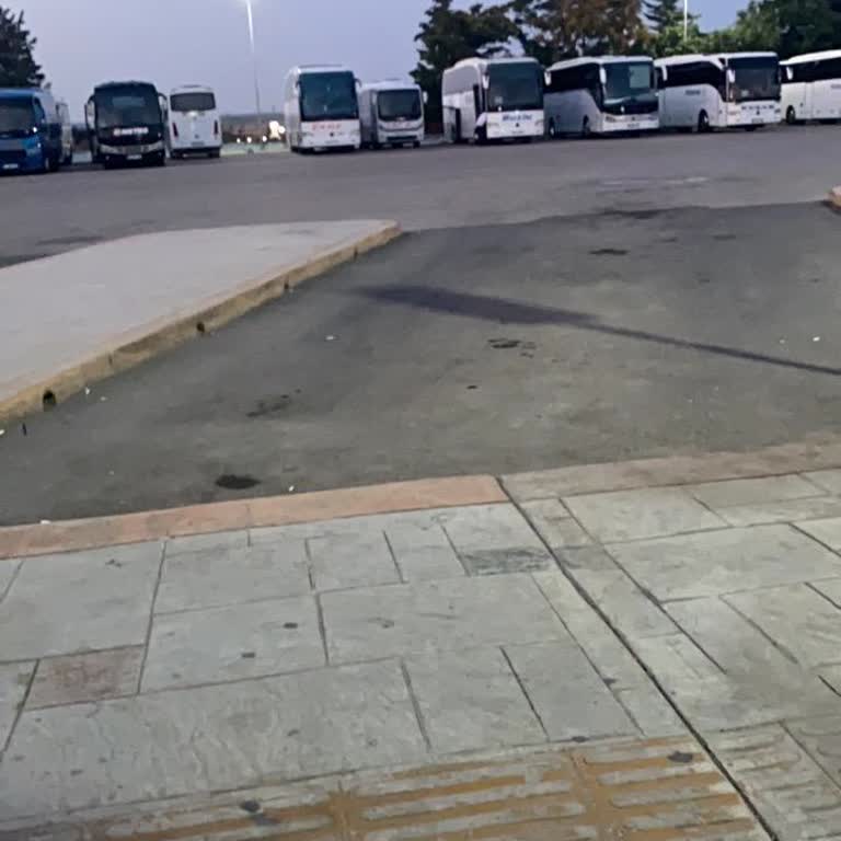 İptal Bilgisi Verilmeden Otobüs Gelmediği İçin Mağduriyet Ve Ek Masraflar Talebi