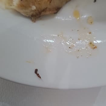 Tatilsepeti Turunda Aşırı Yolculuk Ve Kalitesiz Konaklama Mağduriyeti