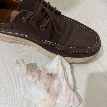 Kalyon Ayakkabı | Van Shoes Marka Ayakkabı Ciddi Şekilde Boya Verdi