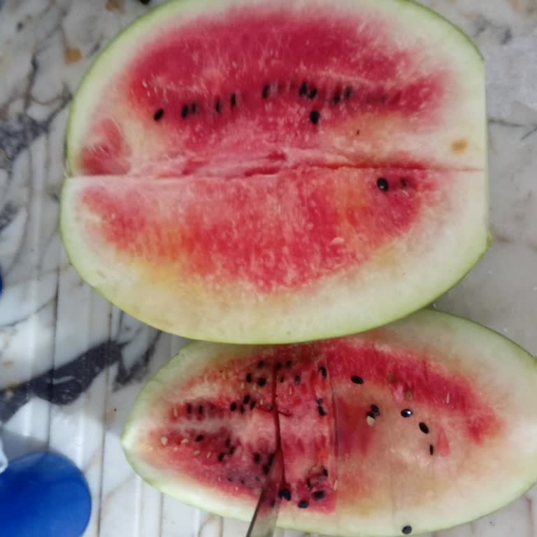Ayıplı Karpuzun İade Reddi Ve Müşteri Şikayeti