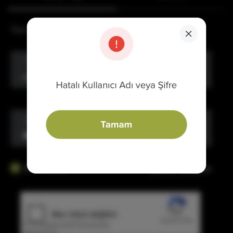 Hatalı Kullanıcı Adı Şifre Hatası İle Giriş Yapamama