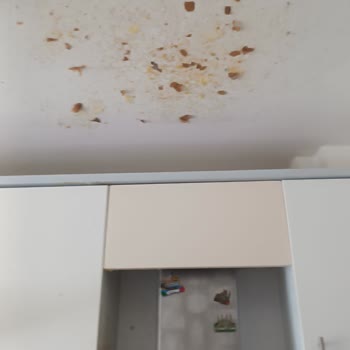 Güvenlik Vaadi İhlali Ve Patlayan Düdüklü Tencere