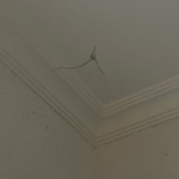 Phonix Sun Hotelde Hijyen Ve Temizlik Sorunları Konusunda Şikayet