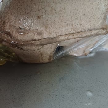 Kırık Yumurta Ve Kararmış Mısır Nedeniyle Siparişte Büyük Sorun