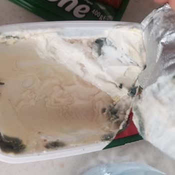 Dipgross Kayseri İçim Krem Peynirde Hızlı Küflenme Ve Sağlık Endişesi