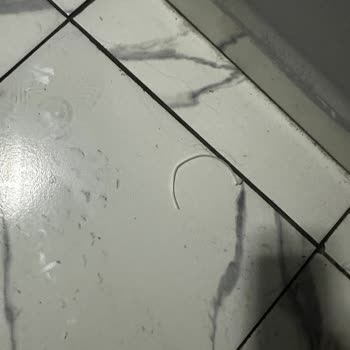Kesilen Kablo Ve Yanıtsız Müşteri Hizmetleri Nedeniyle İnternet Kesintisi