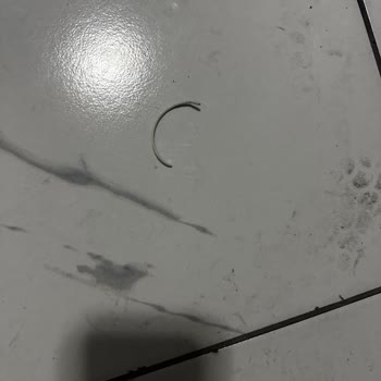 Kesilen Kablo Ve Yanıtsız Müşteri Hizmetleri Nedeniyle İnternet Kesintisi