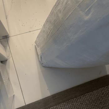 Köpek Mamasında Canlı Karınca Bulunması Ve Sağlık Riski