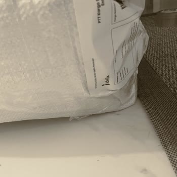 Köpek Mamasında Canlı Karınca Bulunması Ve Sağlık Riski