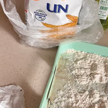 Baklavalık Un Paketi İçinde Böcek Bulundu