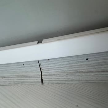 Eureko Sigorta Parke Hasarımı Kapsam Dışı Sayarak Mağdur Ediyor