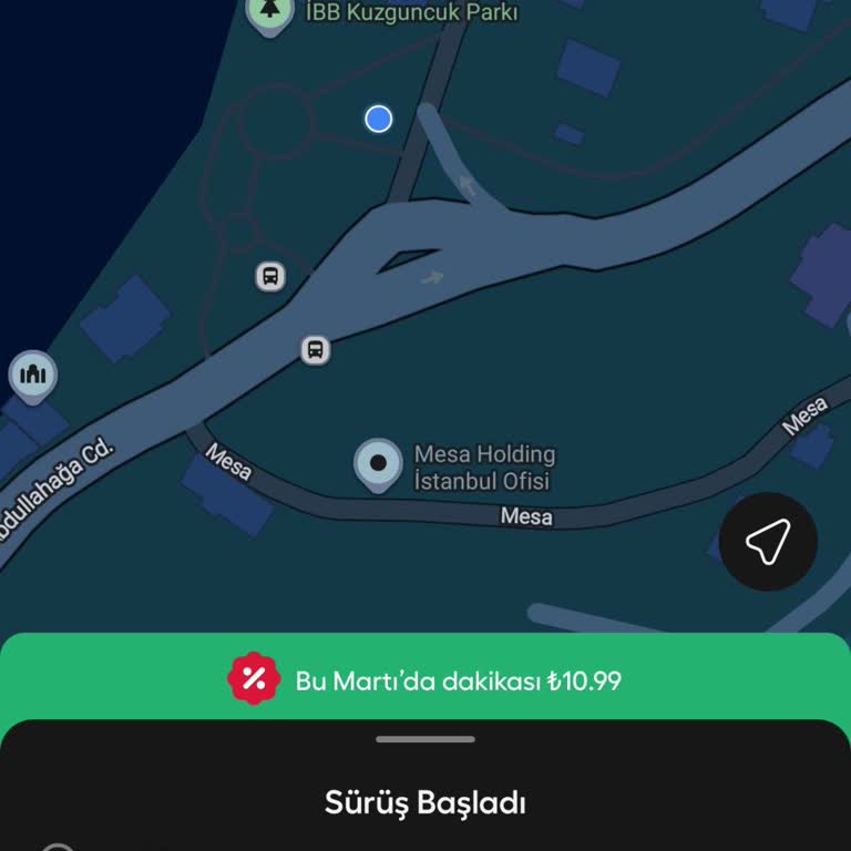 Kırmızı Alan Olmadan Kesilen 600 TL Hatalı Park Cezası İptali Talebi