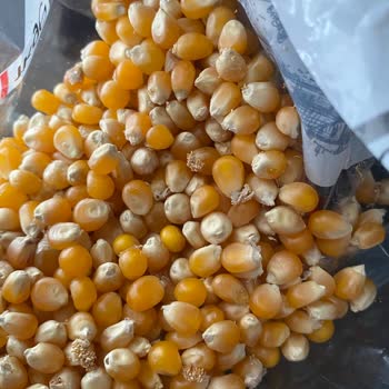 Kurtlu Mısır Satışı Ve Yetersiz Kart Bakiyesi İadesi