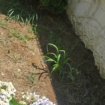 Evde Su Kesintisi Ve Gider Tıkanıklığı İçin Acil Müdahale