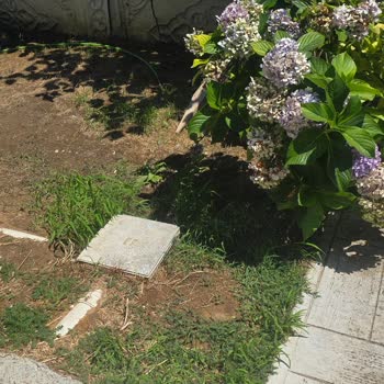 Evde Su Kesintisi Ve Gider Tıkanıklığı İçin Acil Müdahale